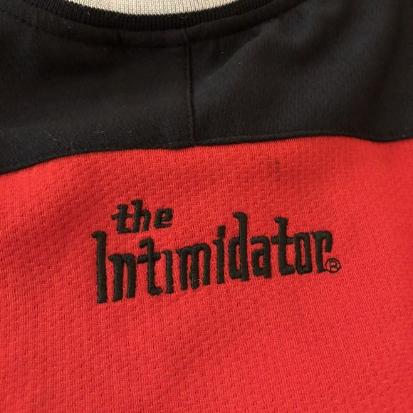 Vintage Winner’s Circle Dale Earnhardt #3 Shirt Jersey Large - Picture 5 of 8